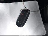 Miniaturka zdjęcia 11
