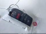 Miniaturka zdjęcia 11