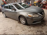 Nissan Altima 2.5/2.5 S/2.5 Sl/2.5 Sr/2.5 Sv 1N4AL3AP2GC226032 fotografie