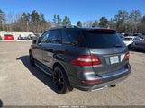 Mercedes-Benz Ml 250 Bluetec 4Matic 4JGDA0EB9FA562566 снимка