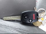 Miniaturka zdjęcia 11