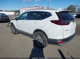 Miniaturka zdjęcia 3