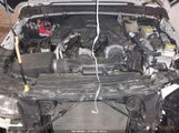 Jeep Wrangler Unlimited Sport S 4X4 1C4HJXDG8KW558632 снимка