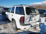 Chevrolet Trailblazer Ls 1GNDS13S362229338 снимка