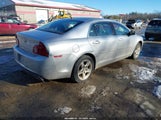 Chevrolet Malibu Ls 1G1ZB5E14BF102717 снимка