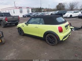Miniaturka zdjęcia 3