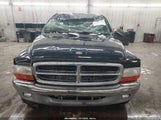 Dodge Dakota Slt 1D7HG48N93S334984 снимка