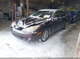 Lexus Es 330 JTHBA30G855088793 fotografie