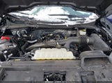 Ford F-150 Xlt 1FTEW3LP6RKF51601 снимка