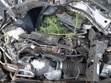 Honda Civic Ex-L 2HGFC1F88HH630281 снимка