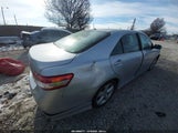Miniaturka zdjęcia 4