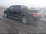 Ford F-150 Platinum 1FTFW1ET7BFD13273 снимка