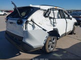 Miniaturka zdjęcia 4