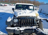 Jeep Wrangler Unlimited Willy Wheeler 4X4 1C4BJWDG6HL608468 fotografie
