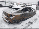 Miniaturka zdjęcia 4