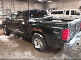Miniaturka zdjęcia 3