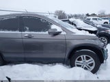 Honda Cr-V Ex-L 5J6RE4H75AL017372 photo