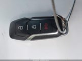 Miniaturka zdjęcia 11