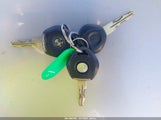 Miniaturka zdjęcia 11