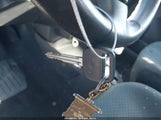 Miniaturka zdjęcia 11