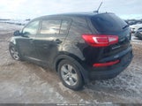 Miniaturka zdjęcia 3