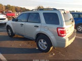 Ford Escape Xlt 1FMCU03G99KB78058 снимка