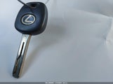 Miniaturka zdjęcia 11