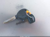 Miniaturka zdjęcia 11