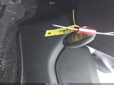 Miniaturka zdjęcia 11