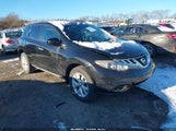 Nissan Murano Le/S/Sl/Sv JN8AZ1MW7EW513706 fotografie