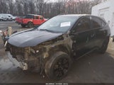 Miniaturka zdjęcia 6