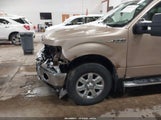 Ford F-150 Xlt 1FTFW1EF9EKF83109 снимка