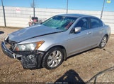 Honda Accord 2.4 Ex-L 1HGCP26829A022057 photo