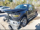 Ford F-150 Xlt 1FTEW3LP6SKE62956 photo