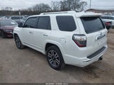 Miniaturka zdjęcia 3