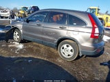 Honda Cr-V Lx 3CZRE38359G708983 снимка