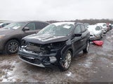 Miniaturka zdjęcia 2