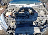 Ford Focus Se 1FADP3F29JL307244 снимка