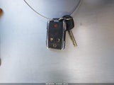 Miniaturka zdjęcia 11