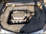 Acura Tl 3.7 19UUA9F51AA003864 снимка