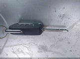 Miniaturka zdjęcia 11