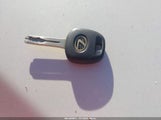 Miniaturka zdjęcia 11