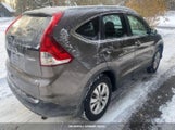 Honda Cr-V Ex-L 2HKRM4H79EH706317 снимка