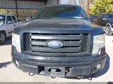 Ford F-150 Fx4/Harley-Davidson/King Ranch/Lariat/Platinum/Xl/Xlt 1FTFW1EV7AFB24316 photo
