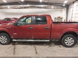 Ford F-150 Xlt 1FTFW1ET0EKE70431 снимка