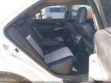 Miniaturka zdjęcia 8