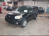 Toyota Rav4 JTEHD20V446005618 fotografie