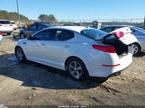 Miniaturka zdjęcia 3