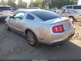Miniaturka zdjęcia 3