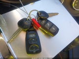 Miniaturka zdjęcia 11